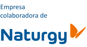 Naturgy