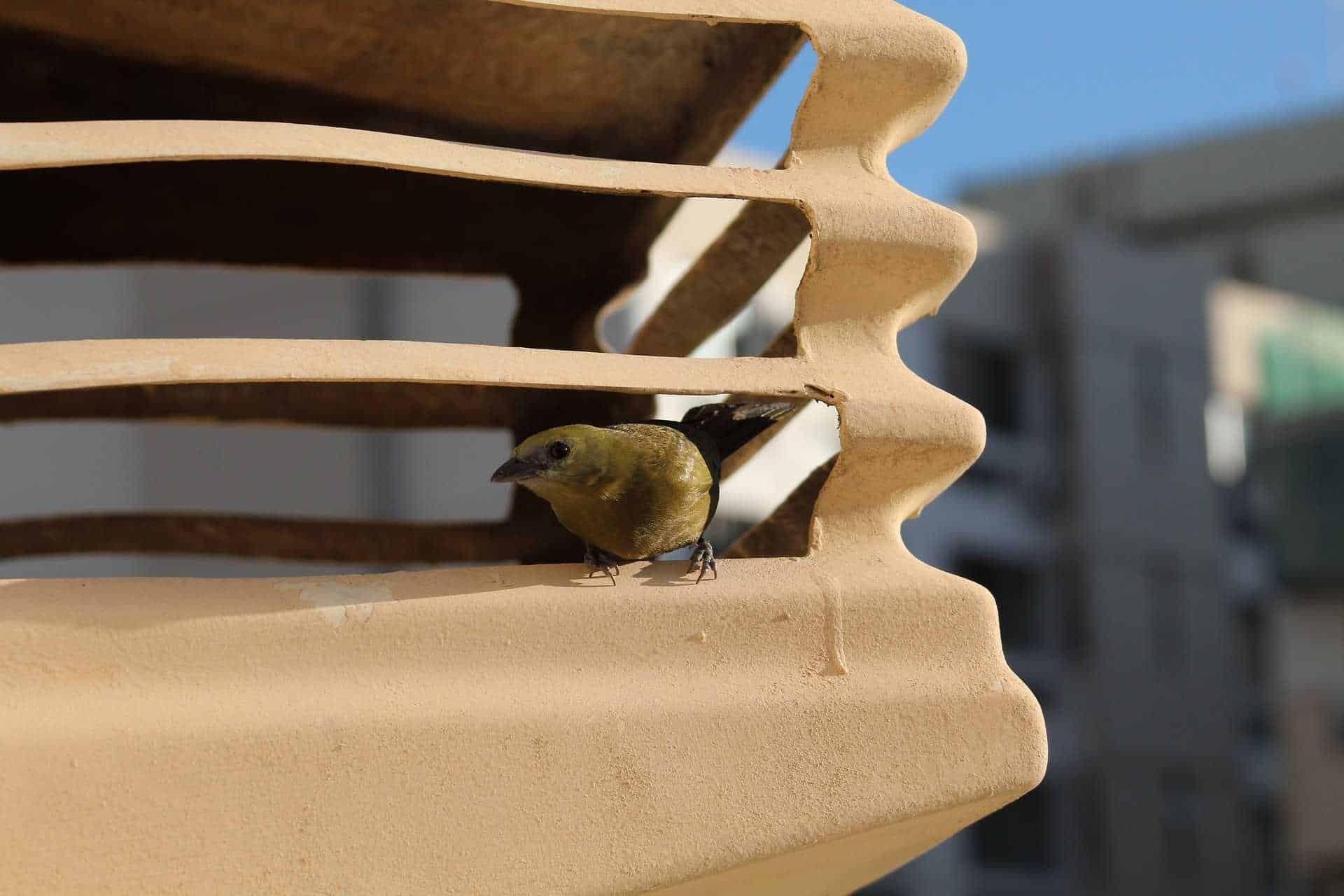 aire acondicionado en primavera